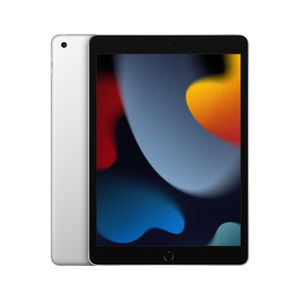 iPad Wi-Fi De 256GB En Plata (9a. gen.) (Seminuevo)