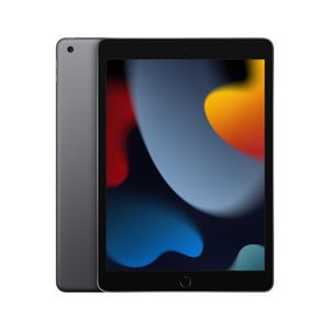 iPad Wi-Fi De 256GB En Gris Espacial (9a. gen.) (Seminuevo)