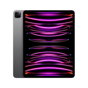 iPad Pro 12.9 Pulgadas Wi-Fi 128GB En Gris Espacial (6a. gen.) (Seminuevo)