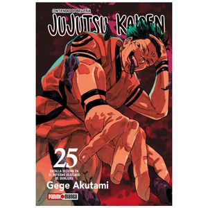 Jujutsu Kaisen No. 25