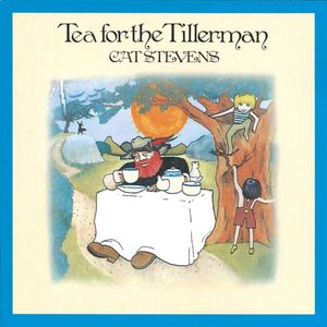 Tea For The Tillerman (Mint Coloured) - (Lp) - Cat Stevens