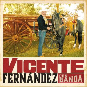 Vicente Fernandez Con Banda - (Cd) - Vicente Fernandez