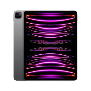 iPad Pro 12.9 Pulgadas Wi-Fi 512GB En Gris Espacial (5a. gen.) (Seminuevo)