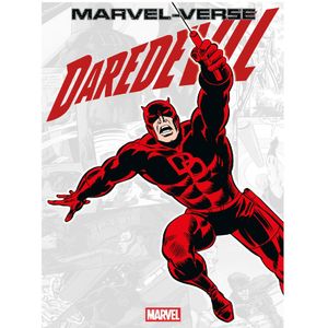 Daredevil Marvel Verse