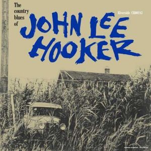 The Country Blues Of John Lee Hooker (Ltd Edt) - (Lp) - John Lee Hooker