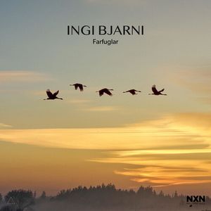 Farfuglar Cd - Ingi Bjarni Skulason