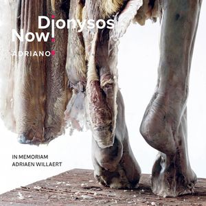 Adriano 5 Cd - Dionysos Now