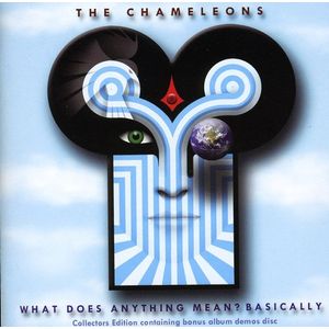 What Does Anything Mean - Basically Cd - Chameleons
