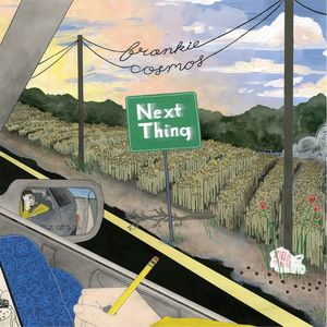 Next Thing Vinil - Frankie Cosmos
