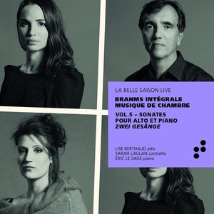 Integrale Musique Chambre 5 Cd - Brahms / Sage / Laulan