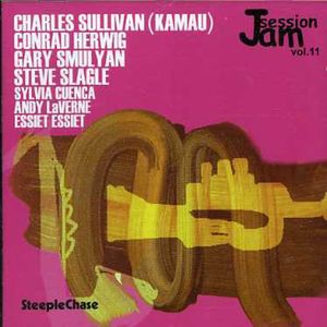 Jam Session 11 / Various Cd - Jam Session 11 / Various