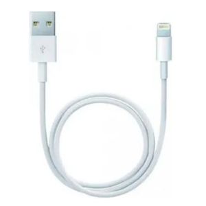 Cable Lightning (1M) En Blanco