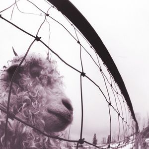 Vs. (30Th Anniversary Edition) Vinil - Pearl Jam