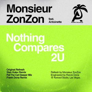 Nothing Compares 2 U Cd - Monsieur Zonzon / Antoinette