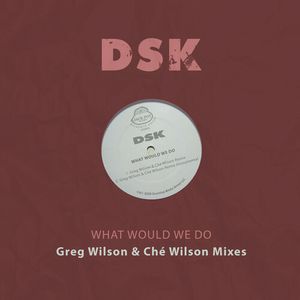 What Would We Do - Greg Wilson & Che Wilson Mixes Cd - Dsk