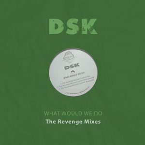 What Would We Do - The Revenge Mixes Cd - Dsk