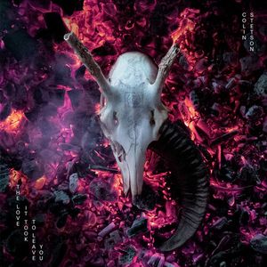 Love It Took To Leave You Vinil - Colin Stetson