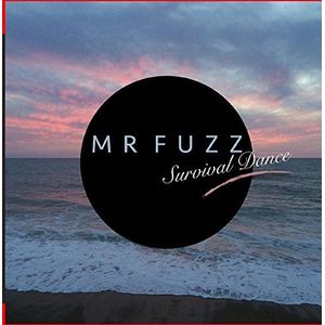 Survival Dance Cd - Mr. Fuzz