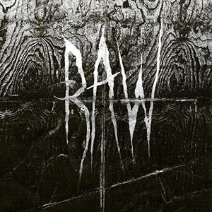 From The First Glass To The Grave Vinil - Raw