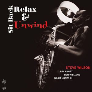 Sit Back Relax & Unwind Vinil - Steve Wilson