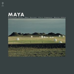 Maya Vinil - Omer Govreen