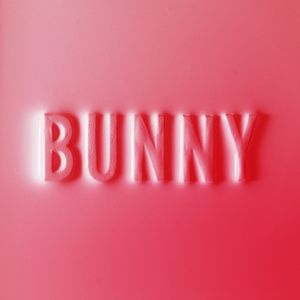 Bunny Cd - Matthew Dear