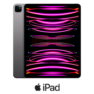 iPad Pro (4ª gen)